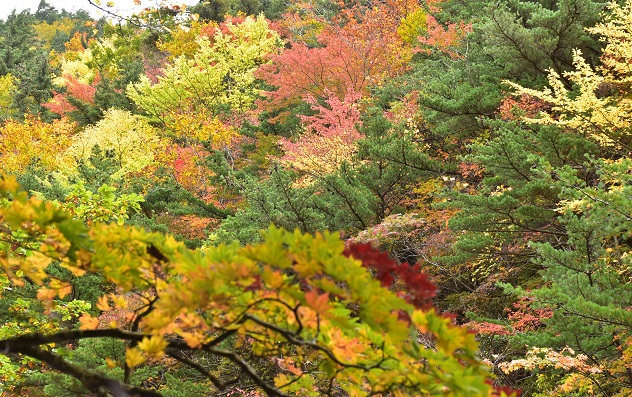 安達太良山の湯川渓谷