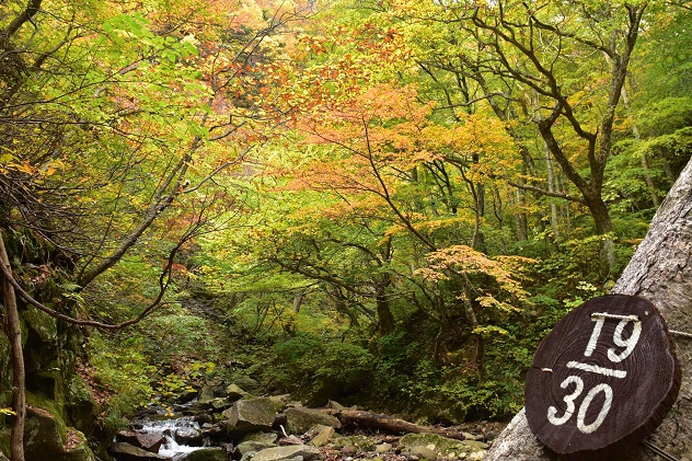 安達太良山の湯川渓谷