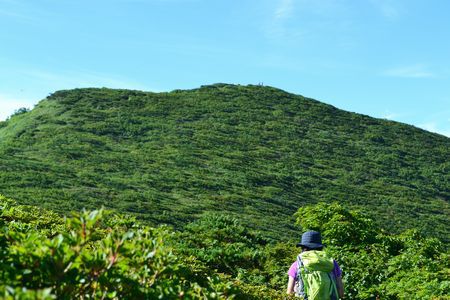 裏那須山域のお花畑