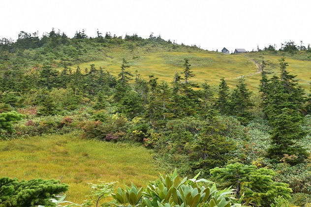 会津駒ケ岳・中門岳