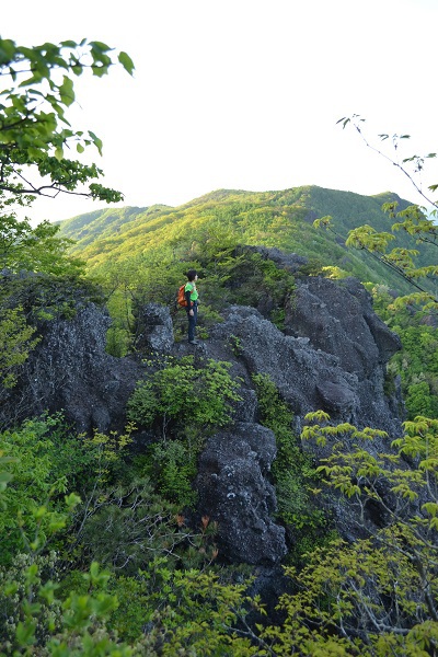 紅白花の競演 　霊山(阿武隈山地）