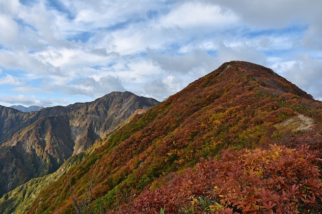 紅葉と静寂の障子ヶ岳