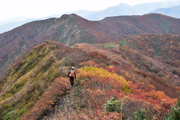 紅葉と静寂の障子ヶ岳