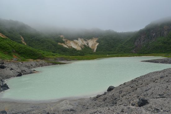 金光花の栗駒山もいいけど秣岳ね
