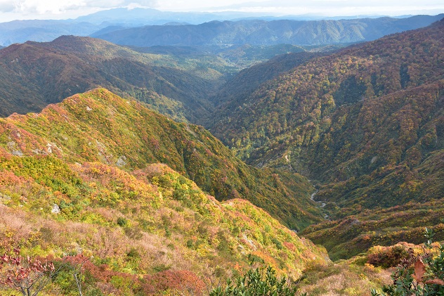 紅葉と静寂の障子ヶ岳