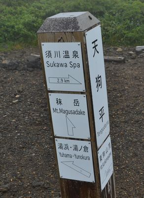 金光花の栗駒山もいいけど秣岳ね
