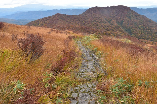 紅葉と静寂の障子ヶ岳