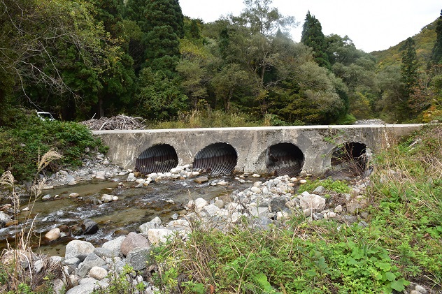 紅葉と静寂の障子ヶ岳
