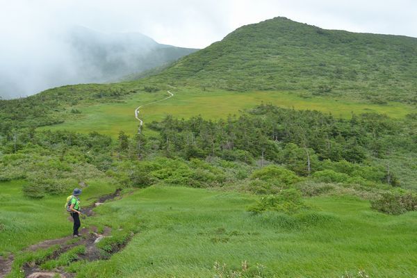 金光花の栗駒山もいいけど秣岳ね
