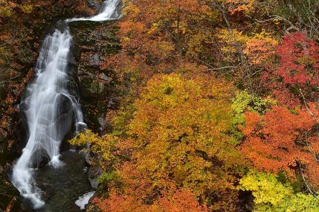 秋彩の湯川渓谷　～安達太良山～
