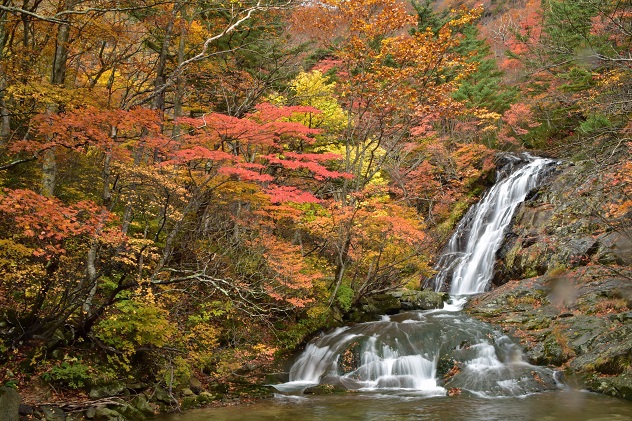 秋彩の湯川渓谷　～安達太良山～