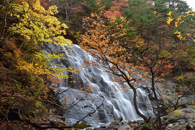 秋彩の湯川渓谷　～安達太良山～