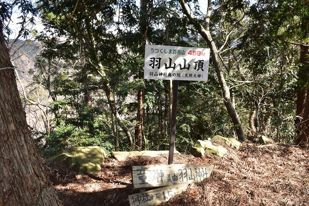 羽山