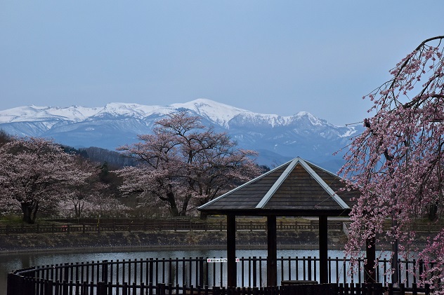 花見山～十万劫周回＆サラッと霊山へ