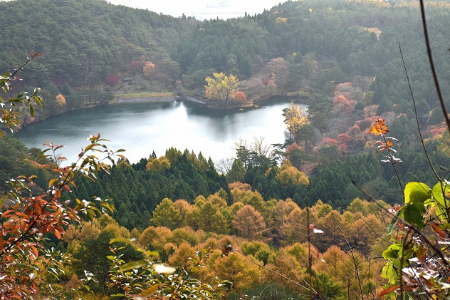 時雨の秋：半田山自然公園