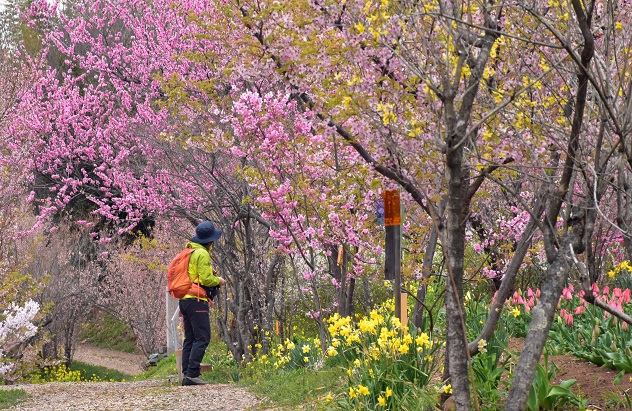 花見山～十万劫周回＆サラッと霊山へ
