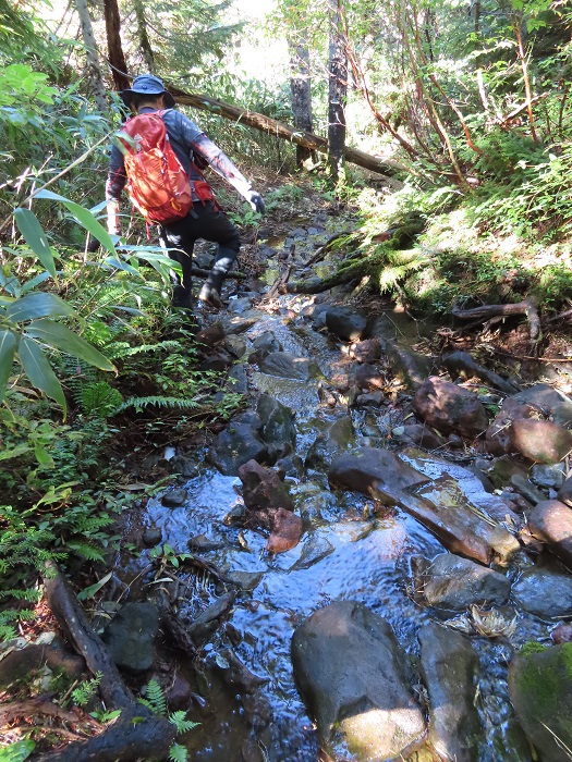 秋めく吾妻山