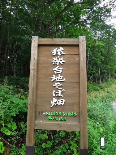 猿楽台地の蕎麦畑＆観音沼散策