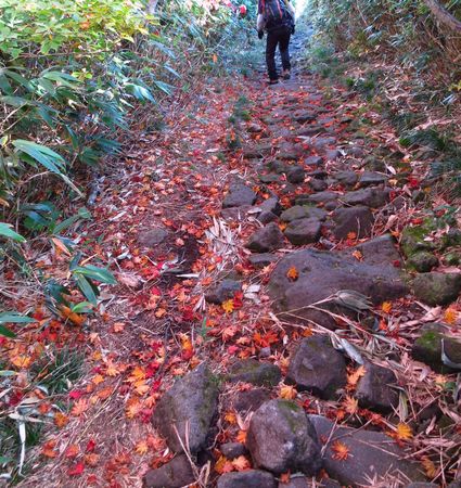 紅葉と静寂の鳥海山へ