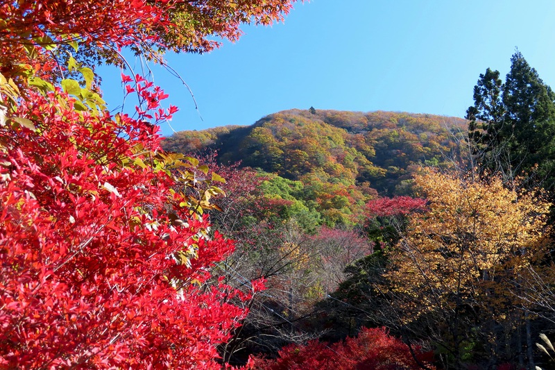 秋深む霊山