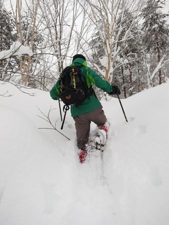 ラッセル(;´ρ`)　イエローフォール