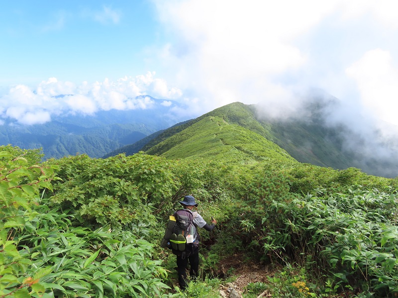 南寒江山