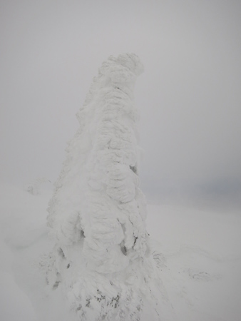 初づくしのお正月登山
