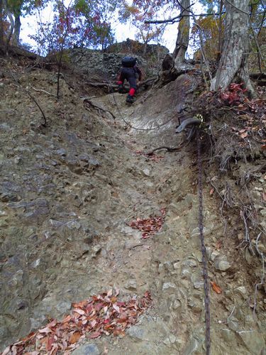モミジ、もみじ、紅葉♪の奥久慈男体山　縦走路