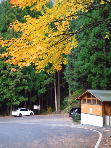 モミジ、もみじ、紅葉♪の奥久慈男体山　縦走路