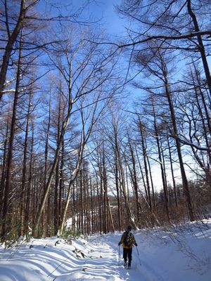 ほんとの空は安達太良山にあり