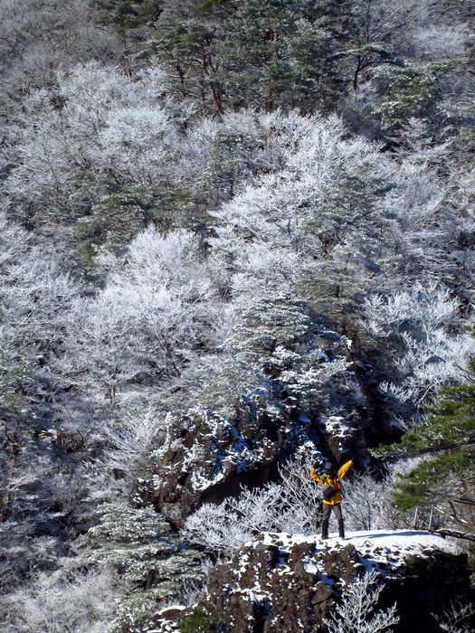 寒気が作り出した冬の景色：霊山