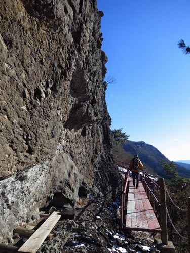 寒気が作り出した冬の景色：霊山