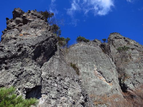 寒気が作り出した冬の景色：霊山