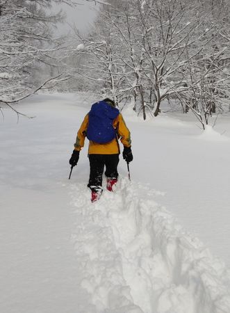 静寂な裏磐梯