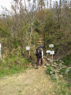 暮れゆく角田山