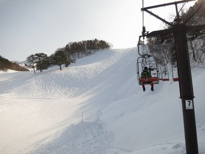 ぶな太郎とイエローフォール