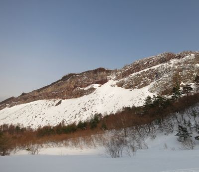 ぶな太郎とイエローフォール