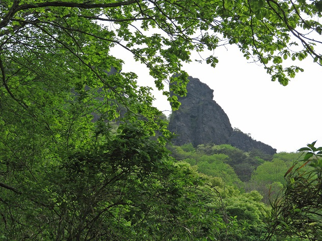 霊山　～シロヤシオ満開～