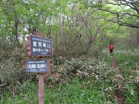 霊山　～シロヤシオ満開～