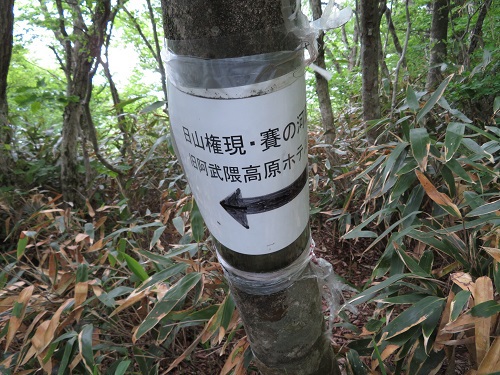 クリンソウに導かれた大滝根山