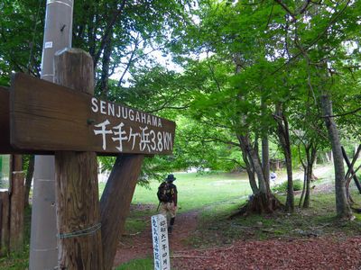中禅寺湖(千手ヶ浜)のクリンソウと半月山