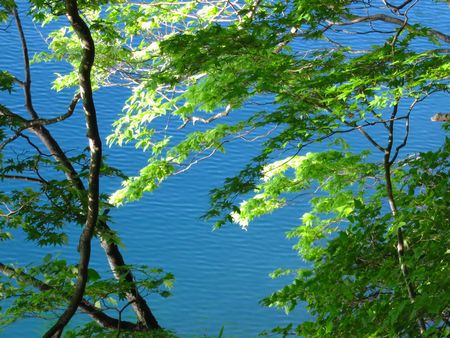 中禅寺湖(千手ヶ浜)のクリンソウと半月山
