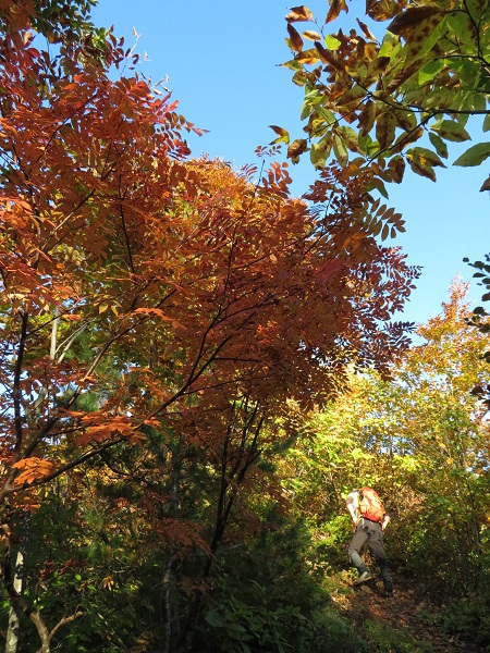 紅葉と静寂の障子ヶ岳