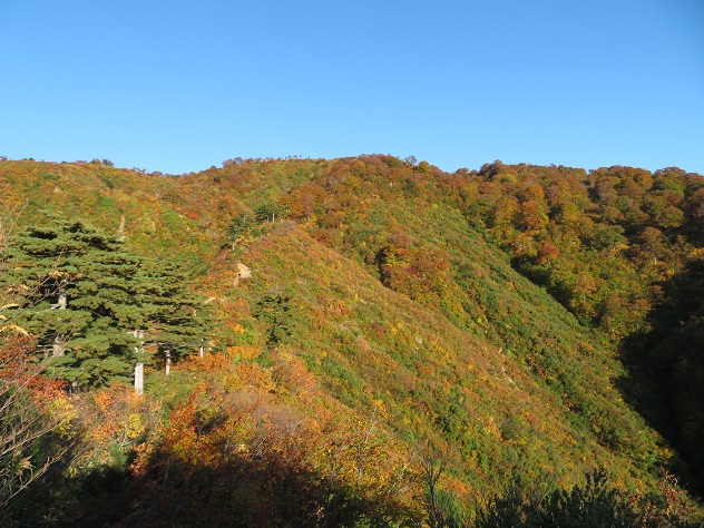 紅葉と静寂の障子ヶ岳