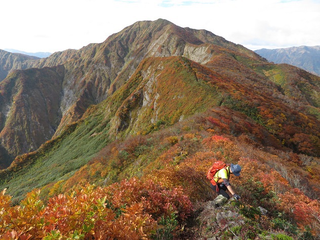 紅葉と静寂の障子ヶ岳