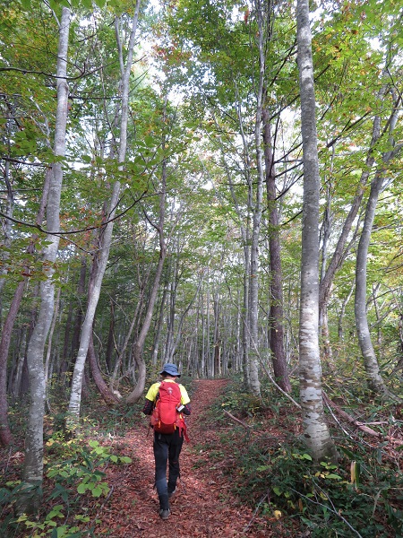 紅葉と静寂の障子ヶ岳