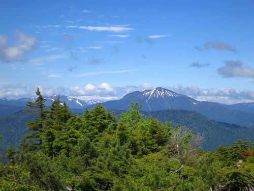 さわやかな　初夏の風に　花ゆれる南会津