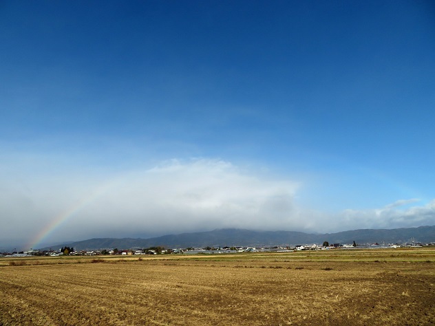 時雨の秋：半田山自然公園