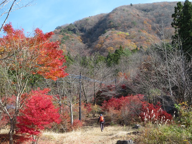 落葉の時期に出会える鷲岩　～霊山～
