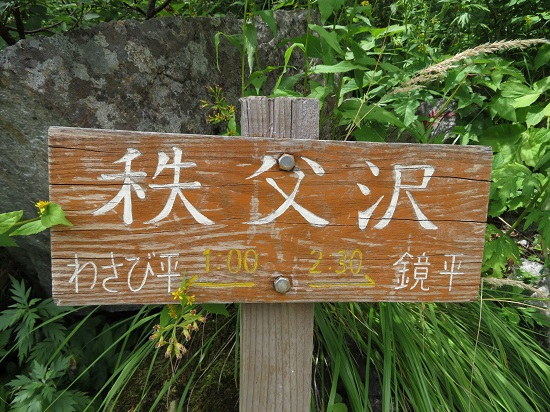 今年もアルプスに行くぞ！